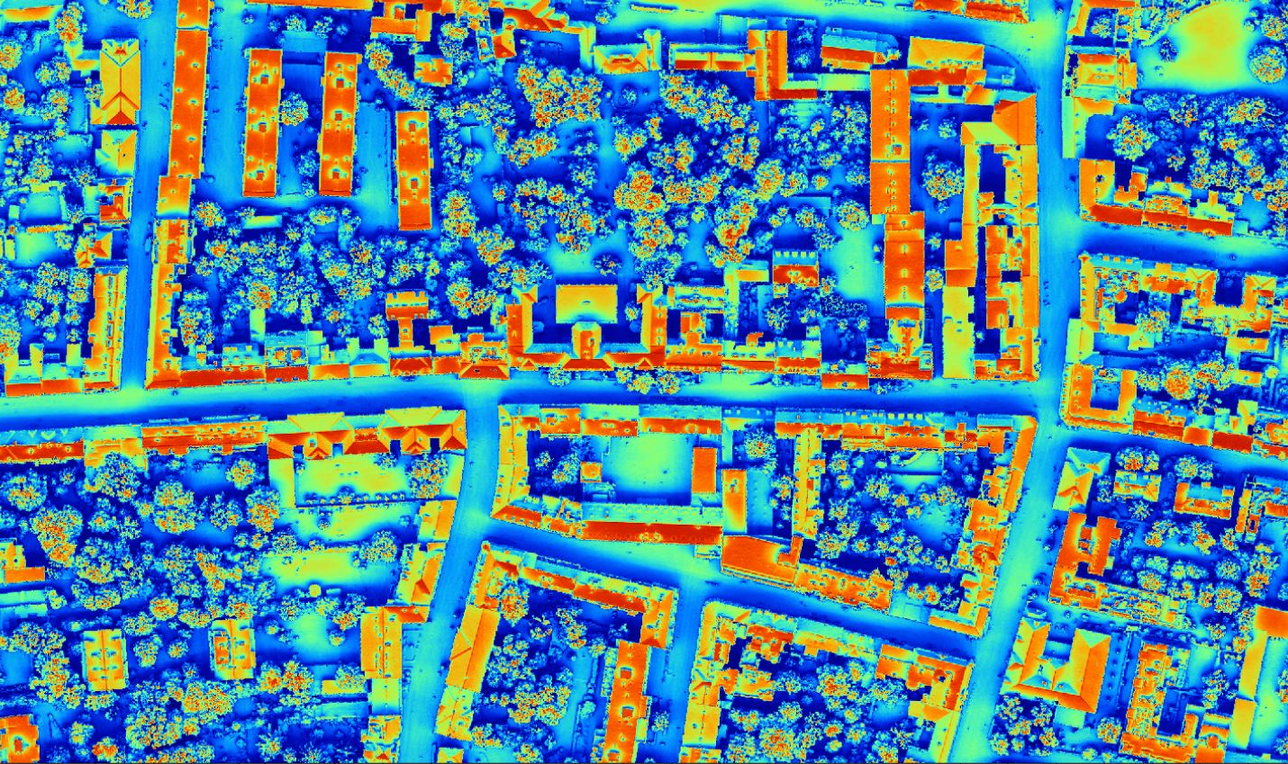 Canopy Height Model
